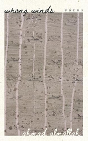 Wrong Winds by Ahmad Almallah, 9781964499482