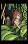 Gunnerkrigg Court Volume 2 by Tom Siddell, 9781506742069