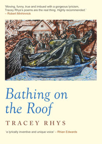 Bathing on the Roof by Tracey Rhys, 9781917140485