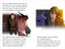 When Hiccup Met Toothless (Ready-to-Read Level 2) by Patty Michaels, Patrick Spaziante, 9781665972321