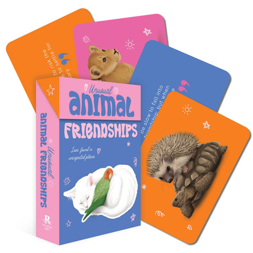 Unusual Animal Friendships by Rockpool Publishing, 9781925946857