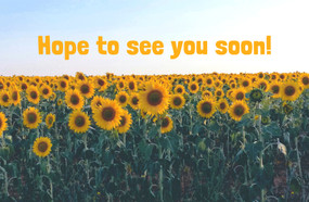 Visitor Postcard: Hope to See You (Package of 25) (Romans 5:1 (KJV)) by Broadman Church Supplies Staff, 9798384515920