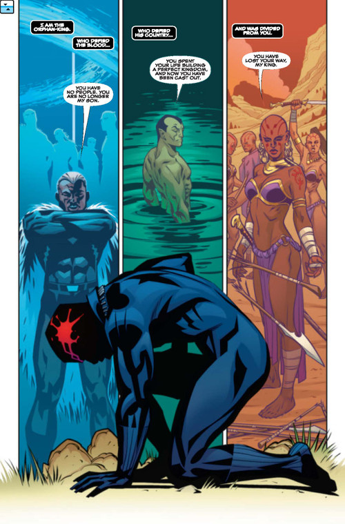 Black Panther: A Nation Under Our Feet [Marvel Premier Collection] by Ta-Nehisi Coates, Brian Stelfreeze, Brian Stelfreeze, Killer Mike, 9781302964856
