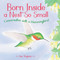 Born Inside a Nest So Small by Iza Trapani, Iza Trapani, 9781623545840