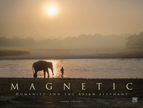 Magnetic (Humanity and the Asian elephant) by Larry Laverty, 9781915951557
