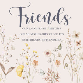 Friends Hardcover Book by Willow Creek Press, 9781682349786