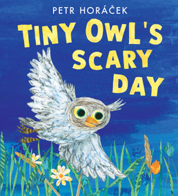 Tiny Owl's Scary Day by Petr Horácek, Petr Horácek, 9781536235876