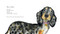 Otto, the dog that learns to share by Catherine Rayner, 9781454712756