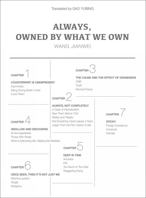 Always, Owned by What We Own by Wang Jianwei, Gao Yubing, 9781788842907