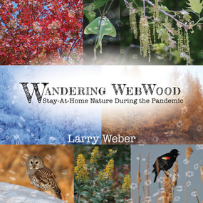 Wandering Webwood (Stay-at-Home Nature During the Pandemic) by Larry Weber, 9781682011584