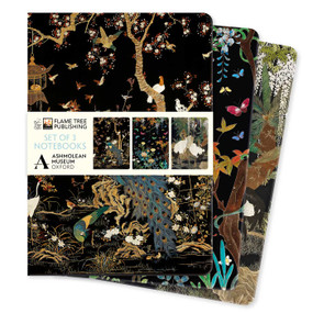 Ashmolean Museum Set of 3 Standard Notebooks by Flame Tree Studio, 9781835625125