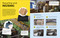 DK Super Planet Sharing the Planet by DK, 9780593966044