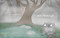 Little Owl's Fog by Divya Srinivasan, Divya Srinivasan, 9780593691137