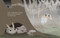Little Owl's Fog by Divya Srinivasan, Divya Srinivasan, 9780593691137