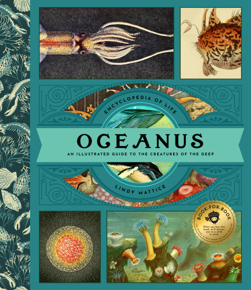 Oceanus (An Illustrated Guide to Creatures of the Deep) by Lindy Mattice, 9781638191223