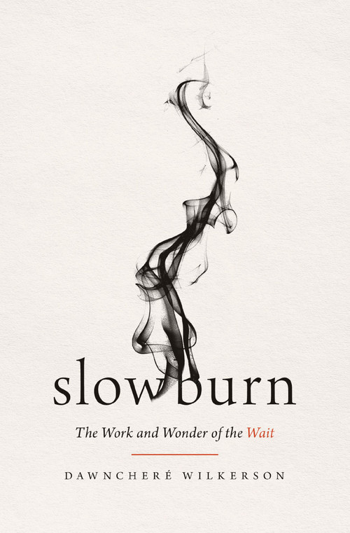 Slow Burn (The Work and Wonder of the Wait) by DawnChere Wilkerson, 9781400345519