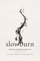 Slow Burn (The Work and Wonder of the Wait) by DawnChere Wilkerson, 9781400345519