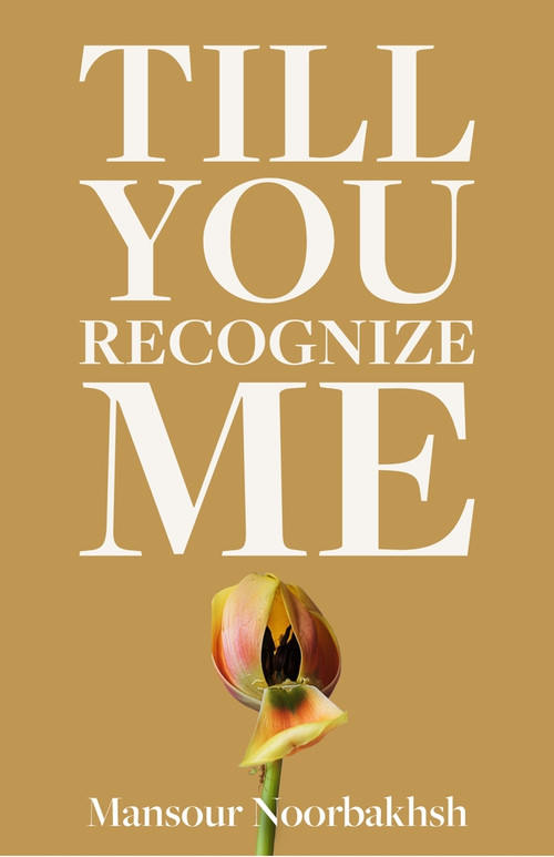 Till You Recognize Me (Poems) by Mansour Noorbakhsh, 9781771617482