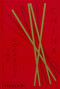China (The Cookbook) - 9781838669225 by Kei Lum Chan, Diora Fong Chan, 9781838669225