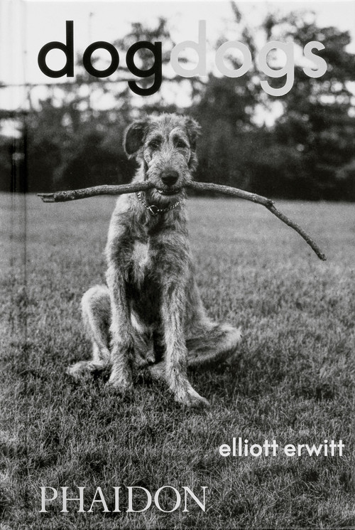 DogDogs by Elliott Erwitt, P G Wodehouse, 9781838669256