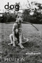 DogDogs by Elliott Erwitt, P G Wodehouse, 9781838669256