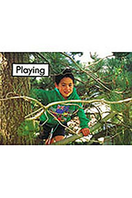 Playing (Leveled Reader Bookroom Package Magenta (Levels 1-2)) by RIGBY, 9781418968090
