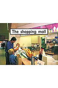 The Shopping Mall (Leveled Reader Bookroom Package Magenta (Levels 1-2)) by RIGBY, 9781418968106