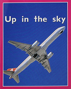 Up In The Sky (Individual Student Edition Magenta (Level 1)) by RIGBY, 9780763559465