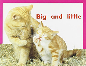 Big and Little (Individual Student Edition Magenta (Level 2)) by RIGBY, 9780763559564