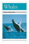 Whales (Individual Student Edition Silver (Levels 23-24)) by RIGBY, 9780763565497