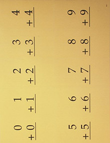 Fact Cards Set of 34 Different (First Edition) by , 9781565772519