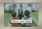 Moms & Dads (Individual Student Edition Magenta (Levels 1-2)) by RIGBY, 9781418903596
