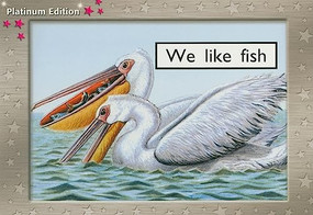 We Like Fish (Individual Student Edition Magenta (Levels 1-2)) by RANDELL, 9781418903855