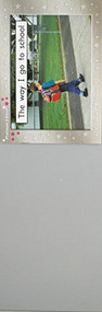 Leveled Reader 6pk Magenta (Levels 1-2) (The Way I Go to School) by RIGBY, 9781418904050