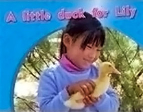 A little duck for Lily (Leveled Reader Bookroom Package Magenta (Levels 2-3)) by SMITH, 9781418925727