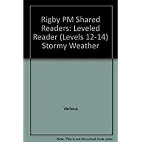 Stormy Weather (Leveled Reader (Levels 12-14)) by RIGBY, 9781418942779