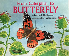 From Caterpillar to Butterfly (Little Big Book Grade K) by HMH HMH, 9780547884820