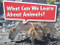 Book 009: What Can We Learn About Animals? (Leveled Reader, Extra Support Grade K) by HMH HMH, 9780544070950