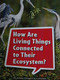 Book 100: How Are Living Things Connected to Their Ecosystem? (Leveled Reader, Extra Support Grade 3) by HMH HMH, 9780544072770