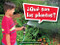 Book 010: ¿Qué son las plantas? (Leveled Reader, Extra Support Grade K) (Spanish Edition) by HMH HMH, 9780544075849