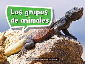 Book 029: Los grupos de animales (Leveled Reader, Enrichment Grade K) (Spanish Edition) by HMH HMH, 9780544076082