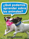 Book 049: ¿Qué podemos aprender sobre los animales? (Leveled Reader, On Level Grade 1) (Spanish Edition) by HMH HMH, 9780544076310