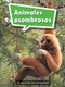 Book 059: Animales asombrosos (Leveled Reader, Enrichment Grade 1) (Spanish Edition) by HMH HMH, 9780544076426