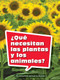 Book 068: ¿Qué necesitan las plantas y los animales? (Leveled Reader, Extra Support Grade 2) (Spanish Edition) by HMH HMH, 9780544077355