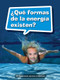 Book 105: ¿Qué formas de la energía existen? (Leveled Reader, On Level Grade 3) (Spanish Edition) by HMH HMH, 9780544077850