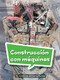 Book 117: Construcción con máquinas (Leveled Reader, Enrichment Grade 3) (Spanish Edition) by HMH HMH, 9780544077973