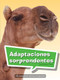 Book 123: Adaptaciones sorprendentes (Leveled Reader, Enrichment Grade 3) (Spanish Edition) by HMH HMH, 9780544078055