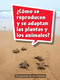 Book 134: ¿Cómo se reproducen y se adaptan las plantas y los animales? (Leveled Reader, Extra Support Grade 4) (Spanish Edition) by HMH HMH, 9780544078161