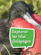 Book 156: Explorar las islas Galápagos (Leveled Reader, Enrichment Grade 4) (Spanish Edition) by HMH HMH, 9780544078390