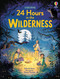 24 Hours in the Wilderness by Ashe de de Sousa, Anastasia Thomas, 9781836051237